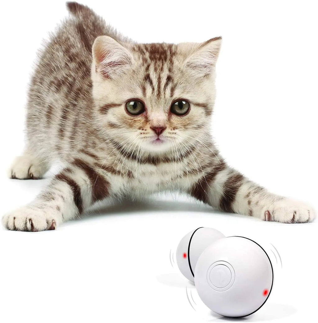 (Christmas sale-48% OFF)Smart Interactive Cat ToyBuy 2 Get 1 Free&Free Shipping leyoupin